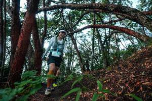 BIB: 
                            <button type="button" onclick="openModal(26345326)" class="btn btn-primary btn-sm float-right btn-popup" data-toggle="modal" data-target=".modal-high-quality">
                        <i class="fas fa-shopping-cart"></i> Add to Cart
                    </button>
                                            <button type="button" onclick="isThisMe(26345326, true)" class="btn btn-success btn-sm float-right btn-popup btn-isme hidden" data-toggle="tooltip" data-placement="bottom" title="นี่คือรูปของคุณใช่ไหม คลิกที่นี่เพื่อเอาเข้าอัลบั้ม">
                        <i class="fas fa-plus"></i> Add to album
                    </button>
                    <button type="button" onclick="isThisMe(26345326, false)" class="btn btn-warning btn-sm float-right btn-popup btn-isnotme hidden">
                        <i class="fas fa-ban"></i> Remove from album
                    </button>